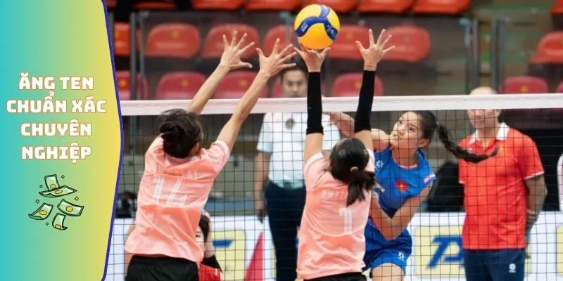 Kích Thước Sân Bóng Chuyền - Quy Chuẩn Thi Đấu Quốc Tế 2026 6 Ăng ten chuẩn xác đầy chuyên nghiệp